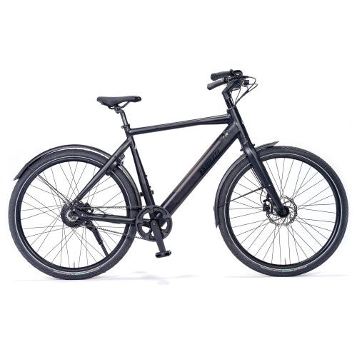 Bikkel Centro E-Bike Heren 504W